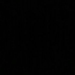 Meet your Posher, Annette