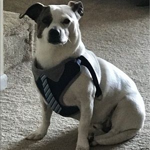 Meet your Posher, Melody