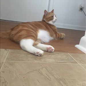 Meet your Posher, Trinity