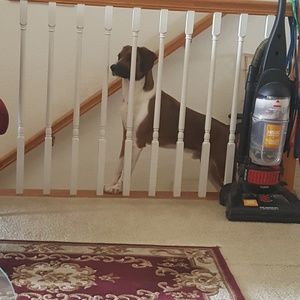 Meet your Posher, Pat