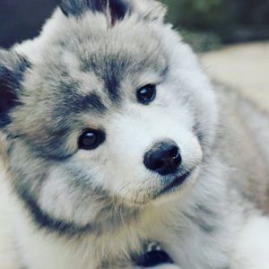 Meet your Posher, Emmanuel