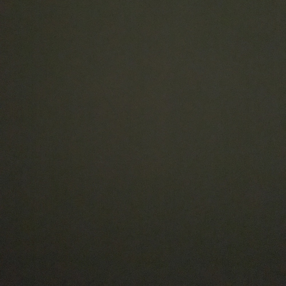 Meet your Posher, Dominique