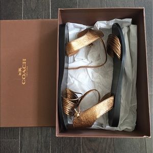 Coach sandals.  Brand new.  Retail $228