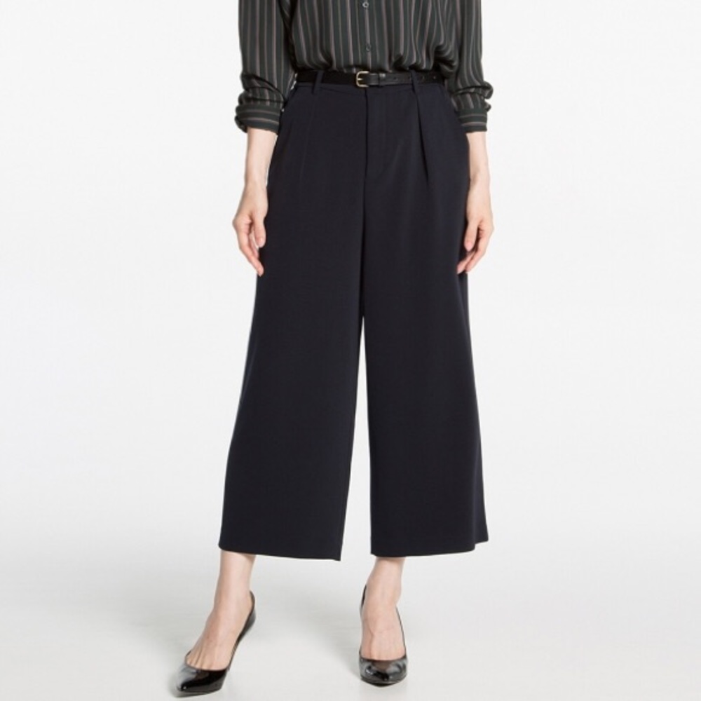 Drape Wide Leg Ankle Pants