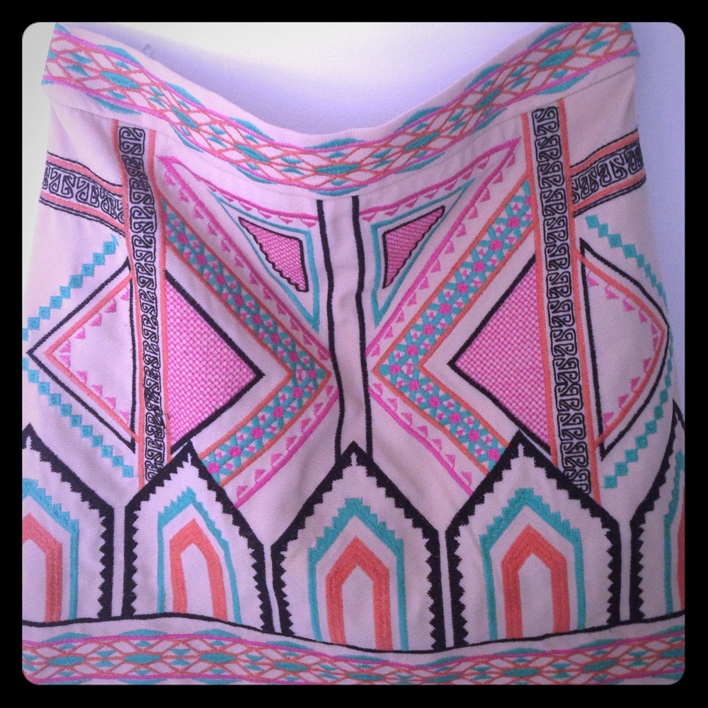 Embroidered Mini Skirt