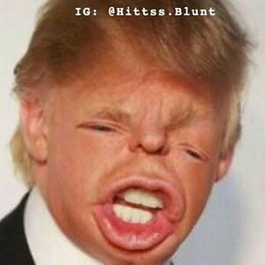 Meet your Posher, Bob