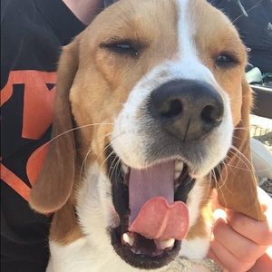 Meet your Posher, Kaitlyn