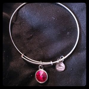 January birthstone alex and ani