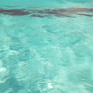 Meet your Posher, Fritzroy