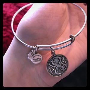 Path of life charm bangle alex and ani