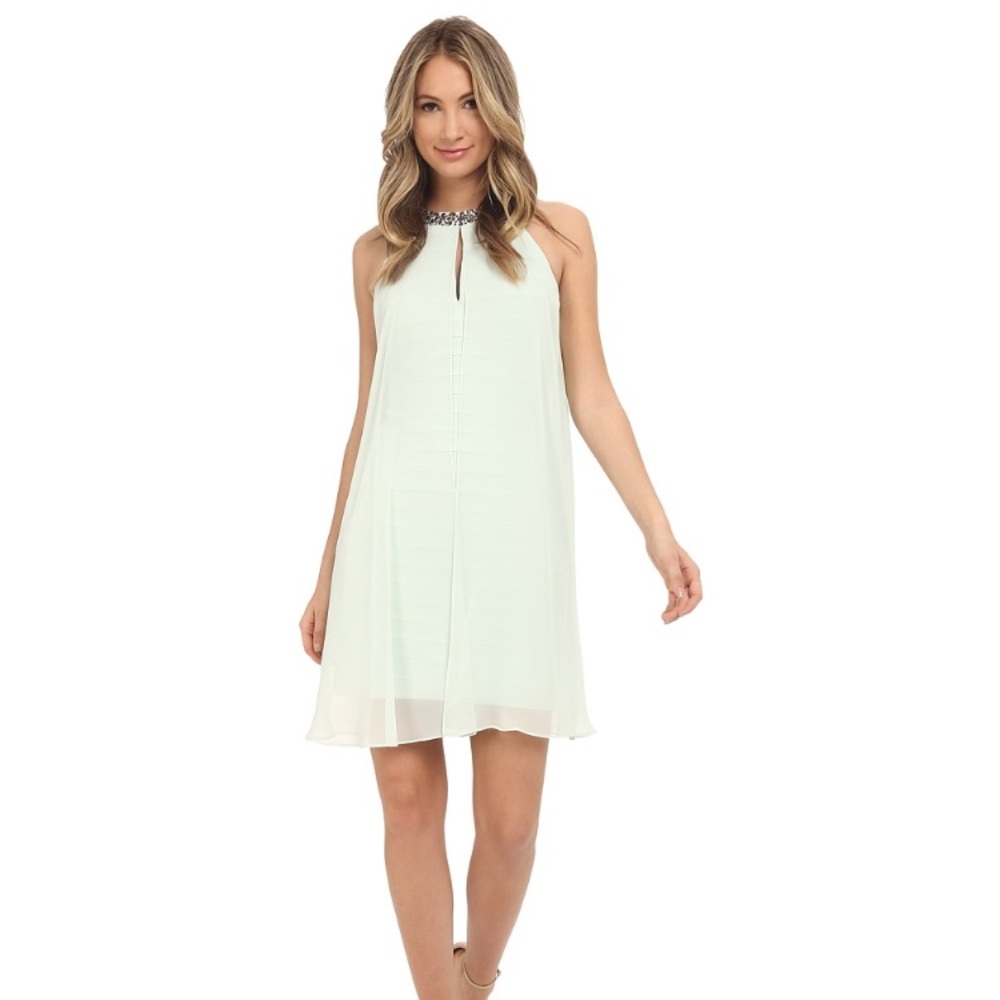 Adrianna Papell Chiffon Veiled Banded Dress