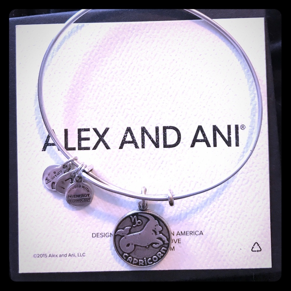 Capricorn alex and ani