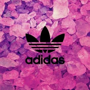 Meet your Posher, Stormie