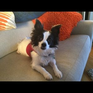 Meet your Posher, Maryann