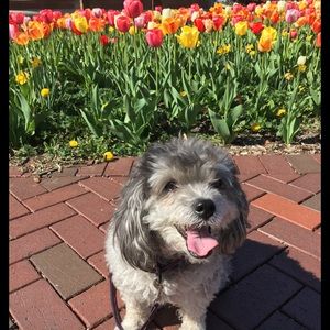 Meet your Posher, Angela