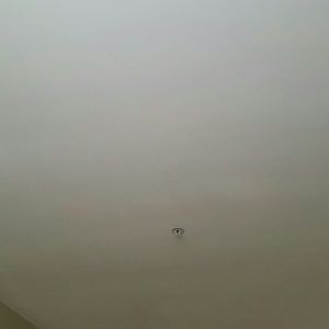 Meet your Posher, Toni