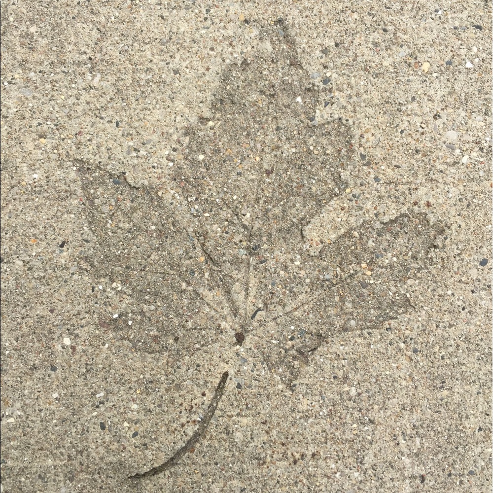 Meet your Posher, Tameka