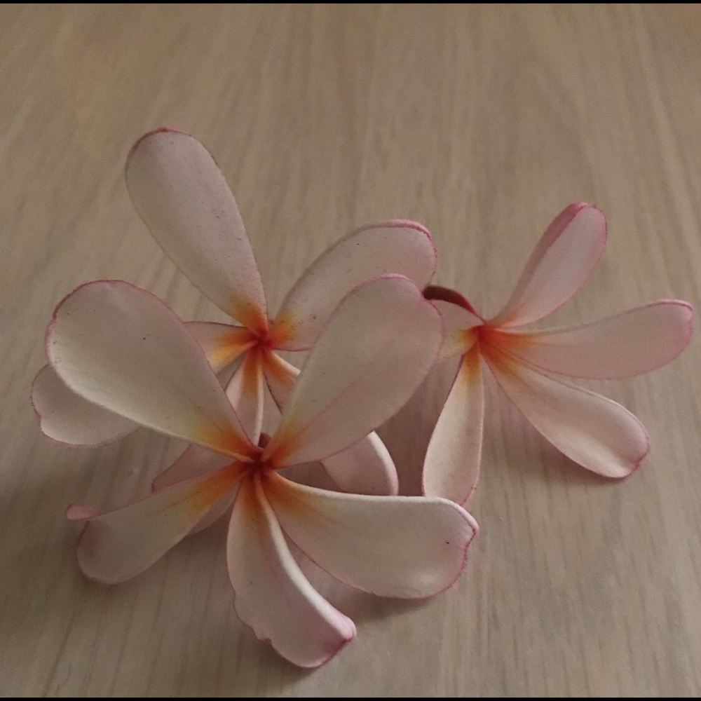 Meet your Posher, Chrissy