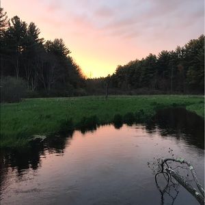 Meet your Posher, Jane