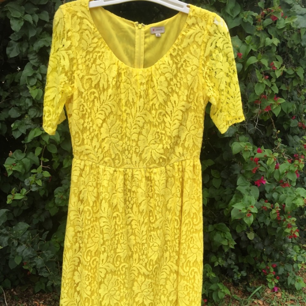 DANIEL CREMIEUX Yellow Lace Dress