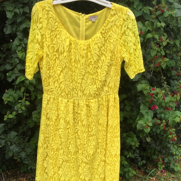 DANIEL CREMIEUX Yellow Lace Dress - Picture 1 of 2