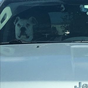 Meet your Posher, Marisa