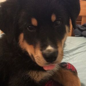 Meet your Posher, Caleb