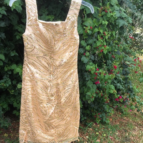 Gold Dress - Picture 2 of 3