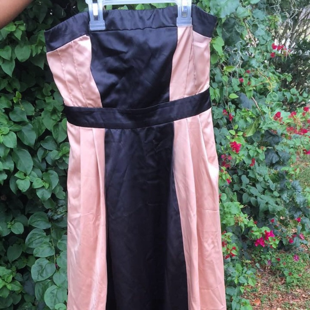 THE LIMITED Pink and Black Formal Dress
