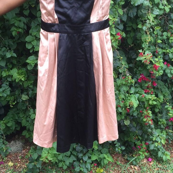 THE LIMITED Pink and Black Formal Dress - Picture 3 of 3