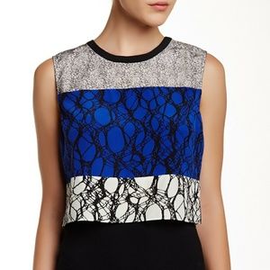 Elizabeth and James 100% Silk Crop Tank Blouse