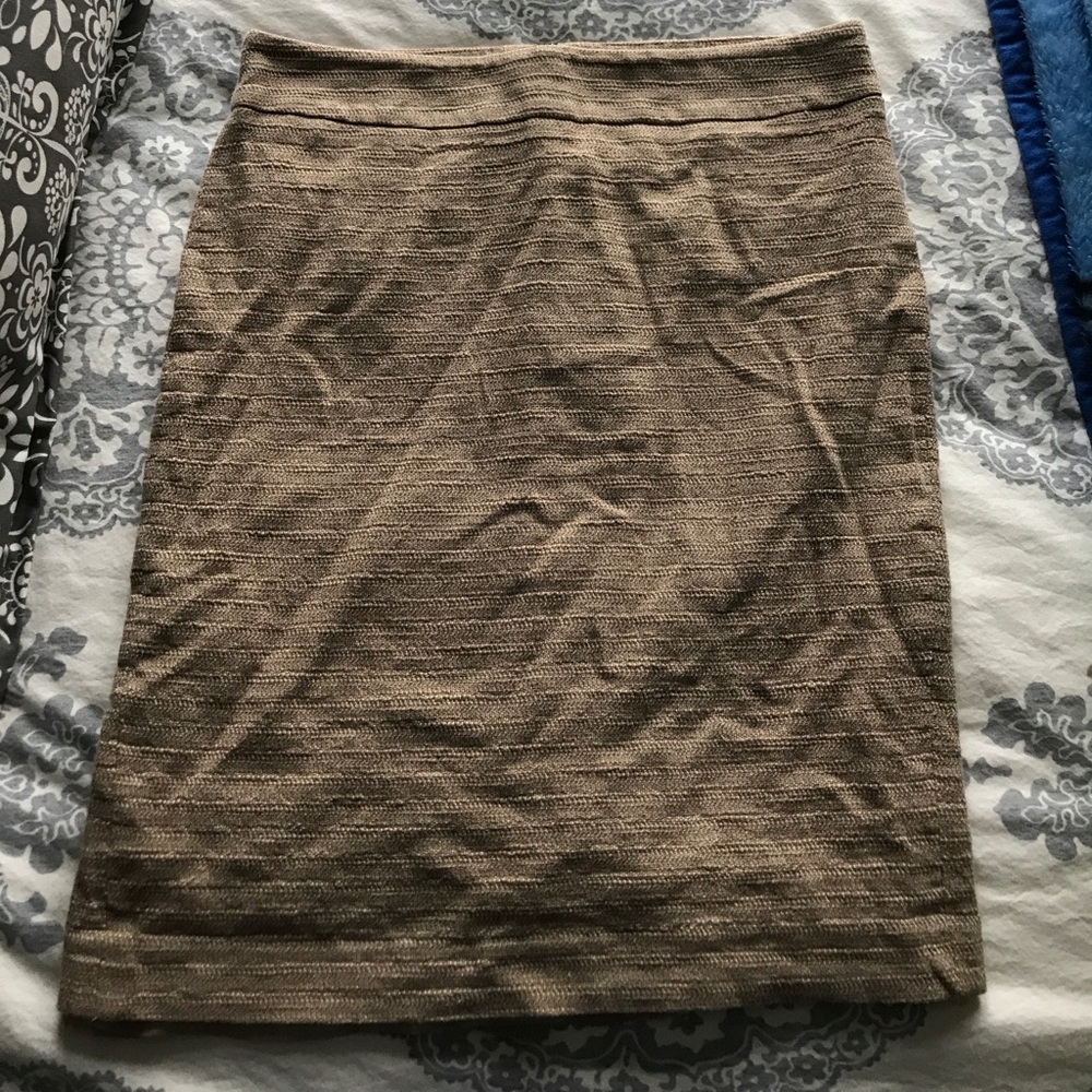 Ann Taylor Pencil Skirt
