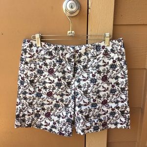 Loft shorts