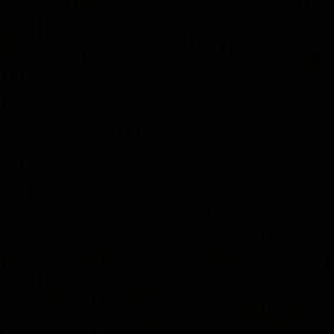 Meet your Posher, Mallory