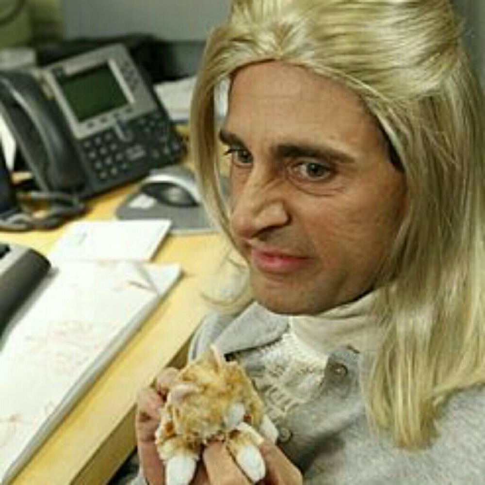 Meet your Posher, Anahi