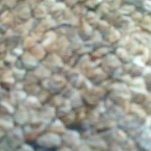 Meet your Posher, Kiana