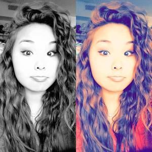 Meet your Posher, Tenzin