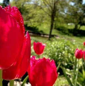 Meet your Posher, Sophia