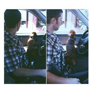 Meet your Posher, Scotty