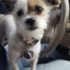 Meet your Posher, Sandra