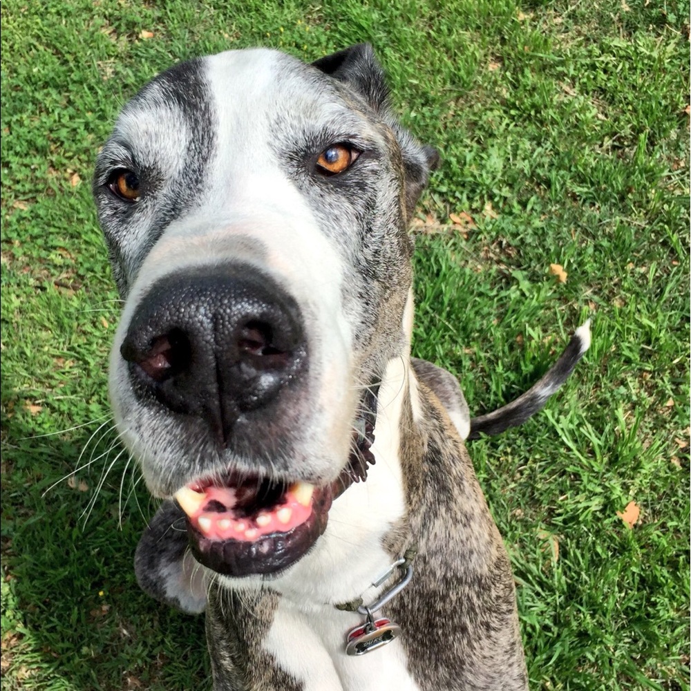 Meet your Posher, Phil