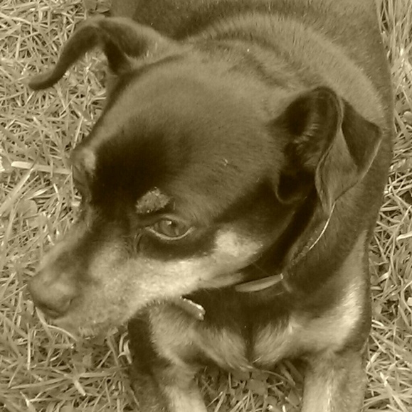 Meet your Posher, Lin - Picture 3 of 6