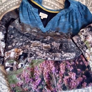 Anthropologie Photographic Print Silk Shift Dress