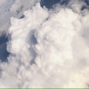 Meet your Posher, Court