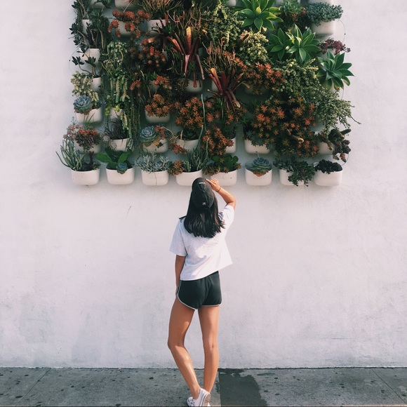 Meet your Posher, Rachel - Picture 6 of 6