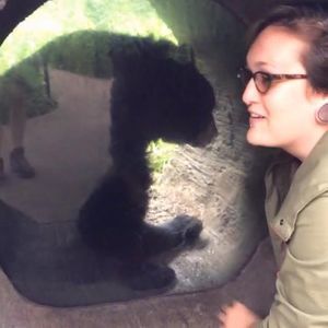 Meet your Posher, Bennett