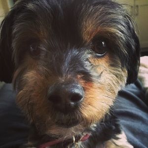 Meet your Posher, Jeff