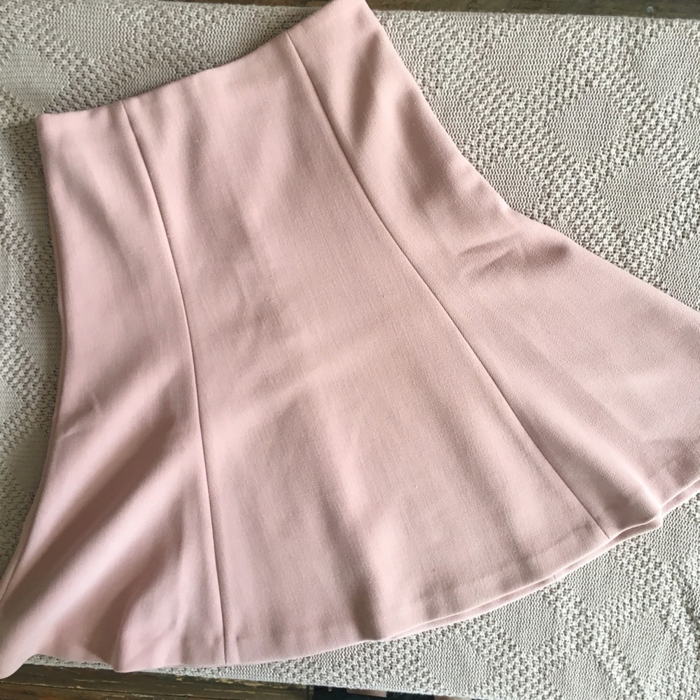 Anne Taylor skirt