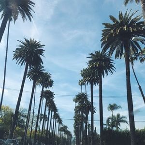 Meet your Posher, Gwen