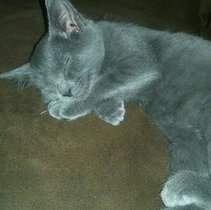 Meet your Posher, Robin